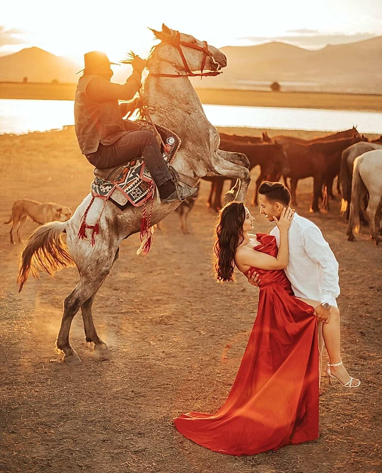 Ekstra Günbatımı Yılkı Atları Çekimi 12.500₺